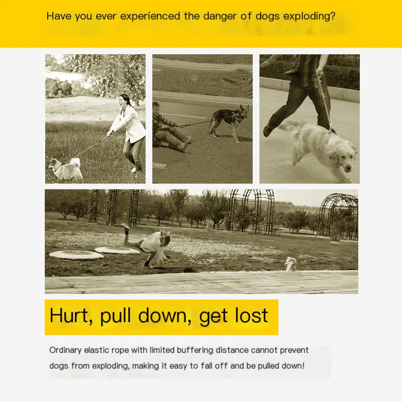 FIDA Large Dog Retractable Leash for Pets