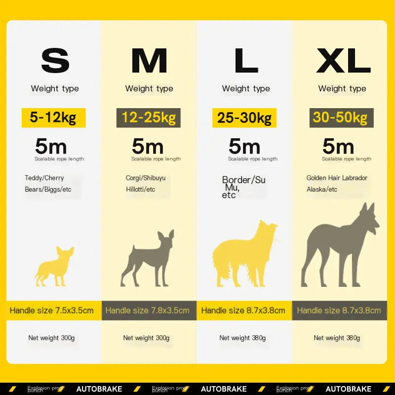 FIDA Large Dog Retractable Leash for Pets